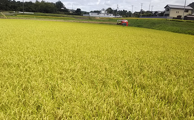 はなまる農園令和6年新米香川県産「コシヒカリ（玄米）30kg」令和7年1月配送: 東かがわ市ANAのふるさと納税