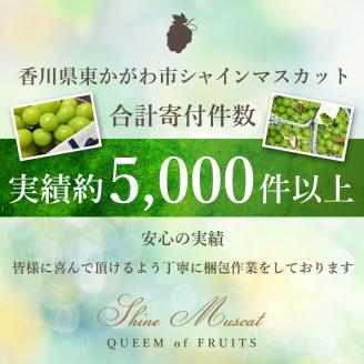 ハウスシャインマスカット 2～5房 2kg 化粧箱 極上 シャインマスカット マスカット 葡萄 ぶどう ブドウ フルーツ 果物 果実 旬の果物 旬のフルーツ ギフト プレゼント 香川 香川県 東かがわ市