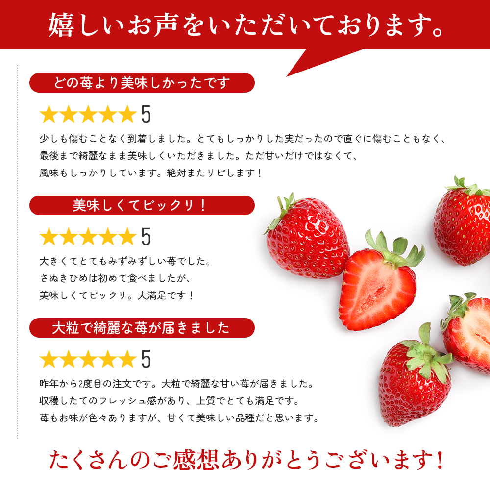 《高評価》 香川県オリジナル品種！ いちご【さぬきひめ】