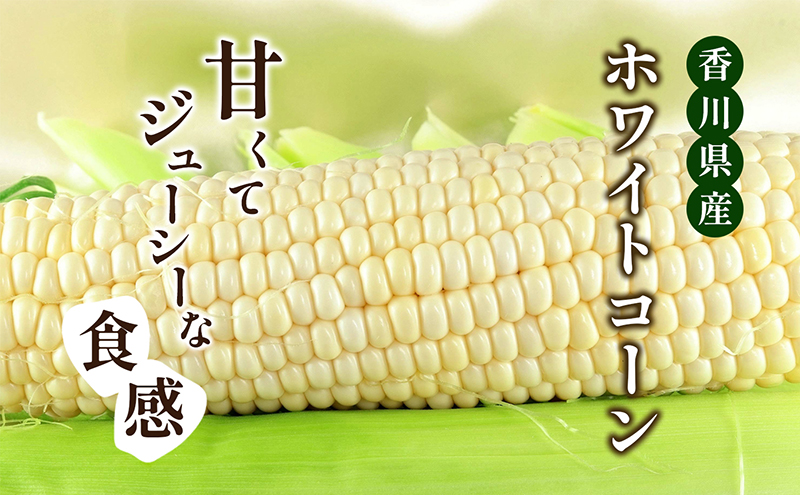 ホワイトコーン（ピュアホワイト）約2.5kg