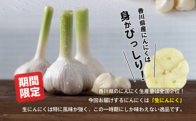 生にんにく（新物）2kg 野菜 根菜