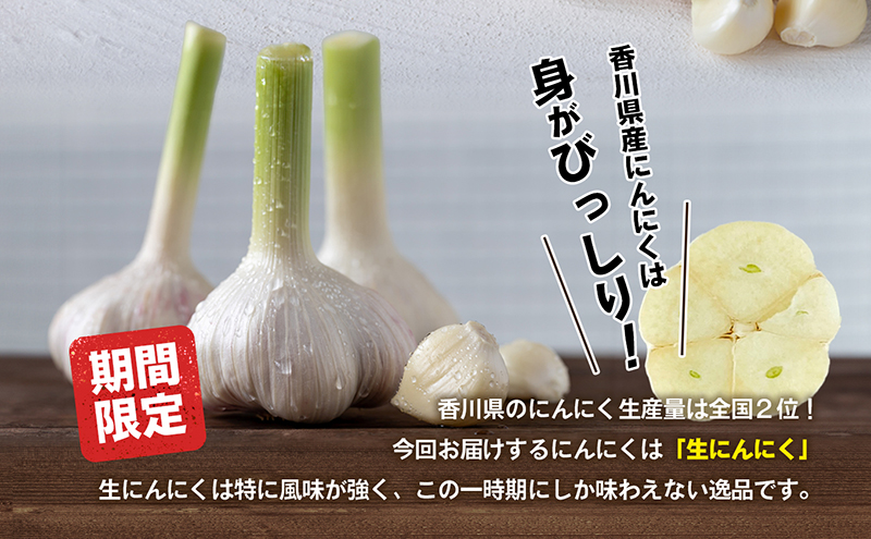 生にんにく（新物）5kg 野菜 根菜