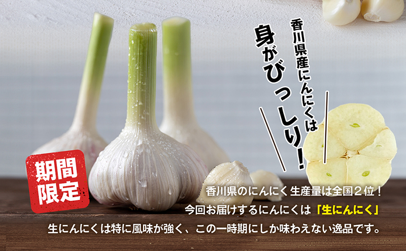ご家庭用生にんにく 約5kg 野菜 野菜セット 乾燥にんにく ニンニク 約10kg