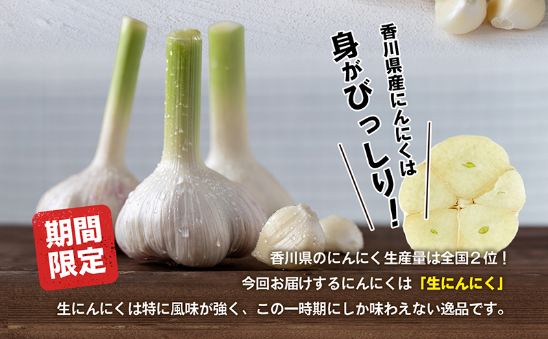 生にんにく（新物）約10kg