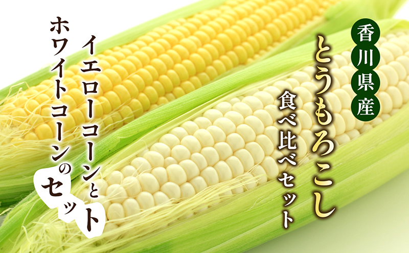 とうもろこし食べ比べセット　約5kg