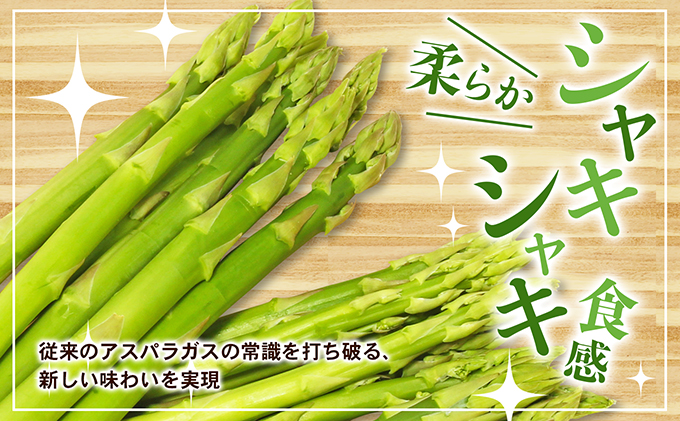 アスパラガス【さぬきのめざめ】夏芽30cmセミロングサイズ1kg