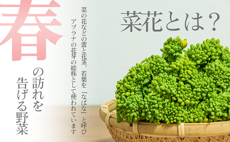 冬から春が旬の「菜花(菜の花)」600g 地域のお礼の品 カタログ