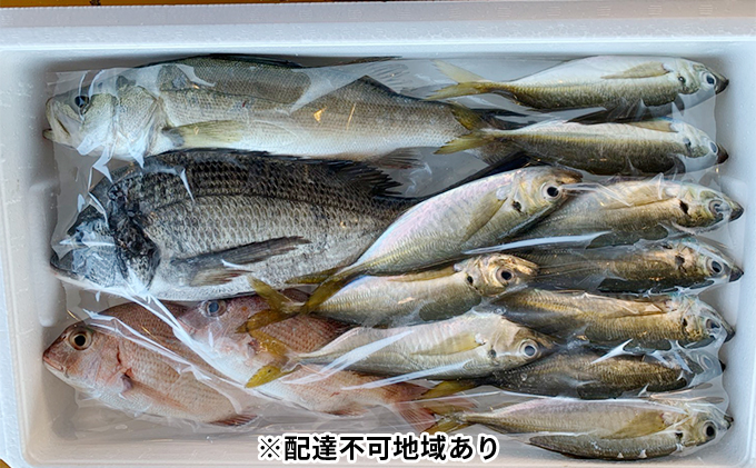 朝捕れ直送！！瀬戸内のお魚詰合せ
