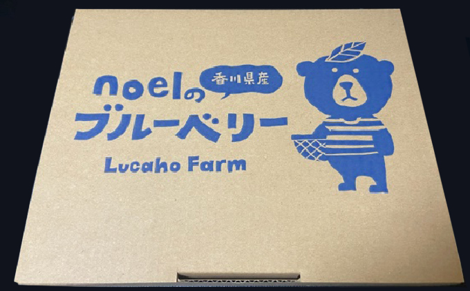 Lucaho Farm ブルーベリー（発送2025年6月～）