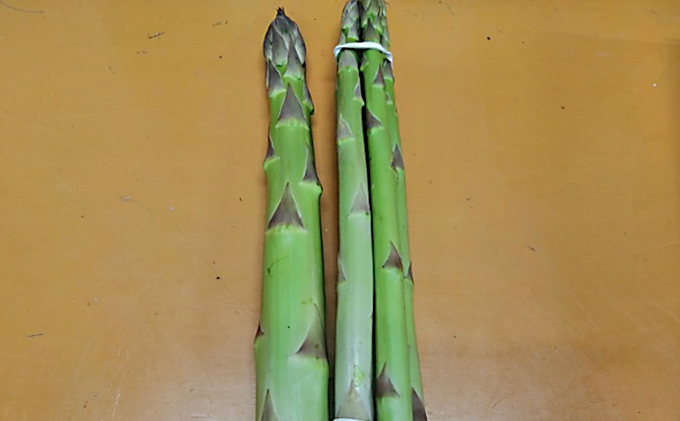 期間限定！極太アスパラ 【さぬきのめざめ1kg】  3Lサイズ 野菜セット 野菜 アスパラガス