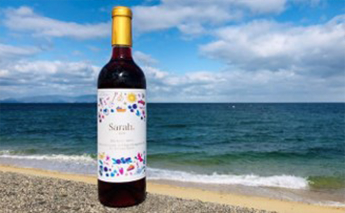 海のキレイな街で育ったブルーベリーとワインのセット