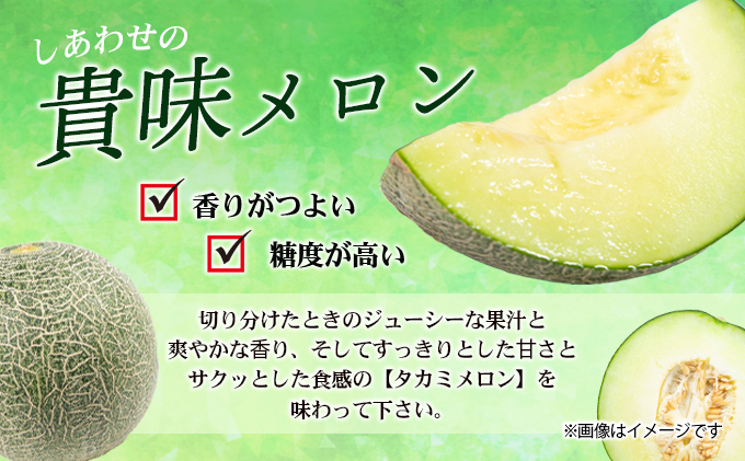 幸せの「タカミメロン」1玉（大玉）
