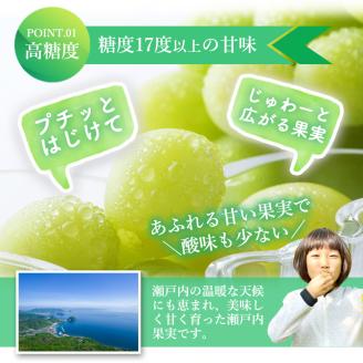 ハウスシャインマスカット 2～5房 2kg 化粧箱 極上 シャインマスカット マスカット 葡萄 ぶどう ブドウ フルーツ 果物 果実 旬の果物 旬のフルーツ ギフト プレゼント 香川 香川県 東かがわ市