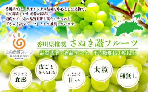 瀬戸内のシャインマスカット　2房（約1.1kg） マスカット 葡萄 ぶどう ブドウ フルーツ 果物 くだもの 果実 旬の果物 旬のフルーツ 贈答用 ギフト プレゼント 香川 香川県 東かがわ市