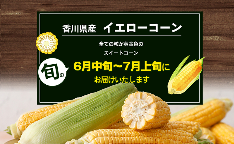 イエローコーン 　約3kg 野菜 とうもろこし 野菜セット