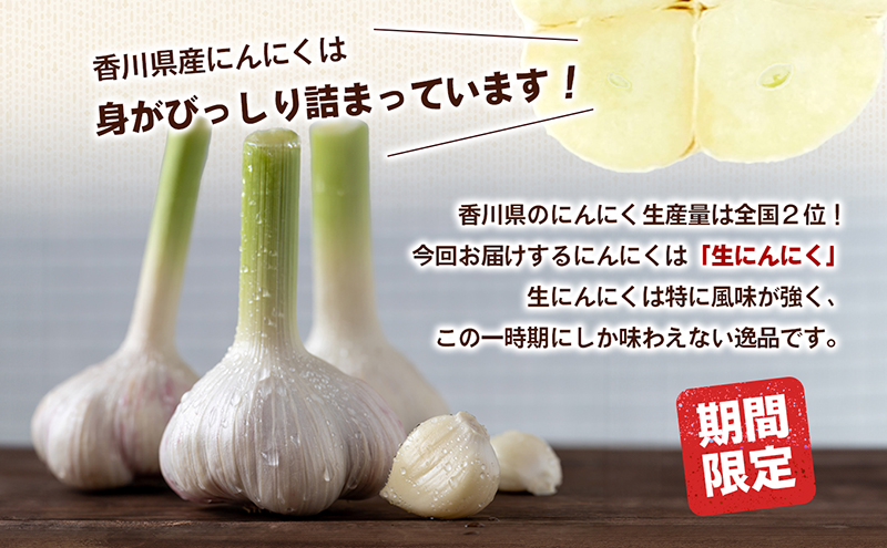 鮮度抜群！土付きにんにく 2kg 野菜 根菜