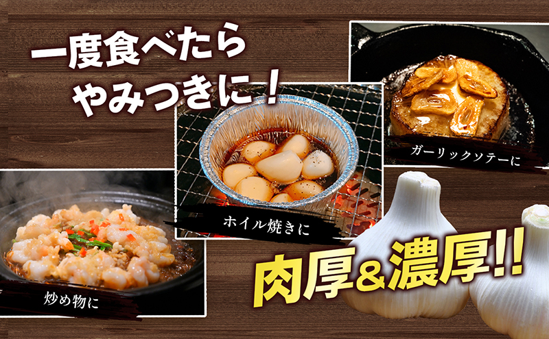 生にんにく（新物）5kg 野菜 根菜