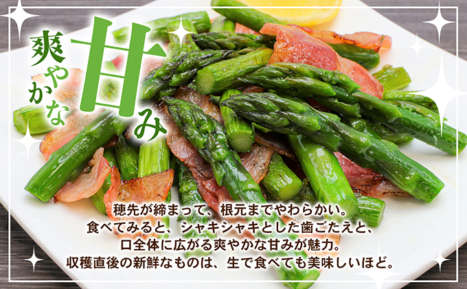 アスパラガス【さぬきのめざめ】夏芽Mサイズ900g