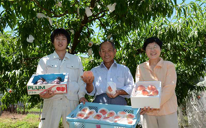 桃 瀬戸の天使 とろける桃 5～9玉 3kg 旬の桃 もも モモ ピーチ フルーツ 果物 くだもの 果実 旬の果物 旬のフルーツ 香川 香川県 東かがわ市