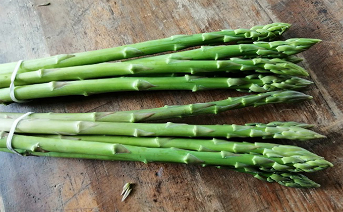 少し訳ありSWANの特選アスパラ1kg【さぬきのめざめ】