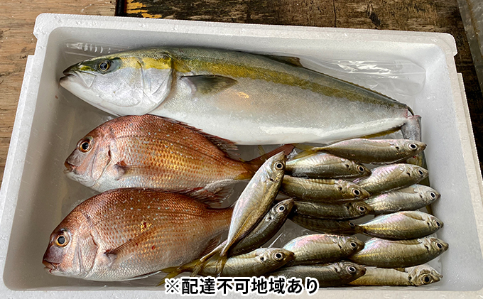 朝捕れ直送！！瀬戸内のお魚詰合せ