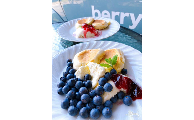 海のキレイな街で育ったブルーベリーとワインのセット