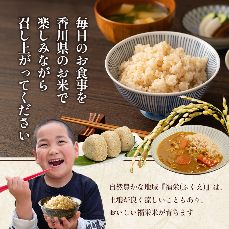 【令和7年】高原さんのミルキークイーン 10kg 玄米