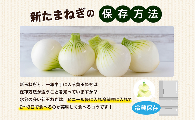 新たまねぎ　約10kg