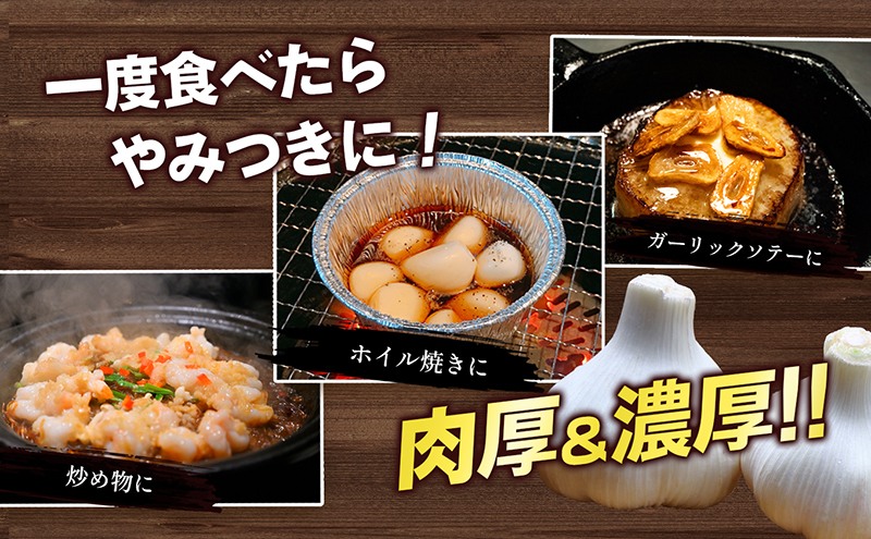 鮮度抜群！土付きにんにく 5kg