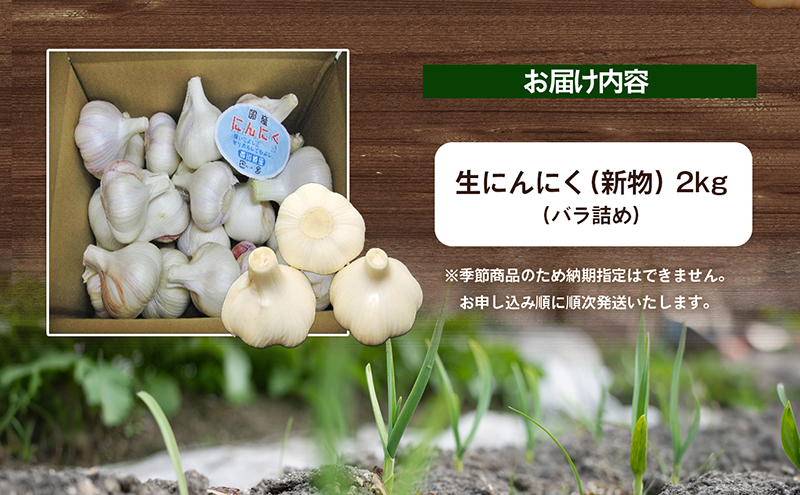 生にんにく（新物）2kg 野菜 根菜