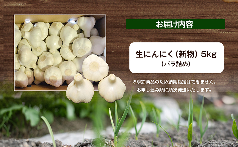 生にんにく（新物）5kg 野菜 根菜