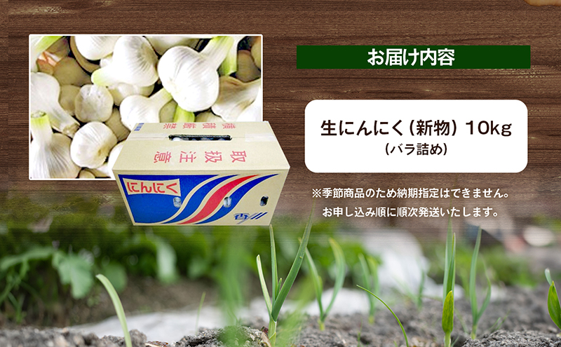 生にんにく（新物）約10kg