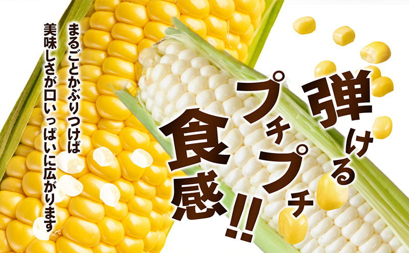とうもろこし食べ比べセット　約5kg