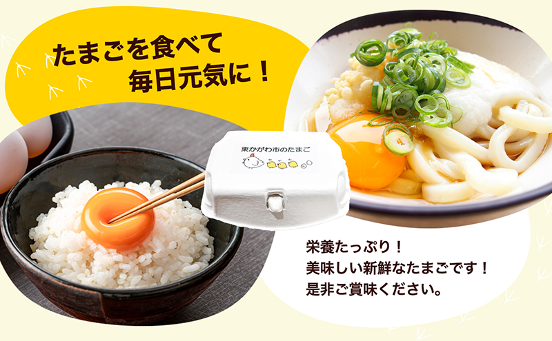 東かがわ市のたまご「鶏卵Mサイズ（10個×3P）」 新鮮卵 卵料理 食材 料理 調理 グルメ 玉子かけご飯 TKG