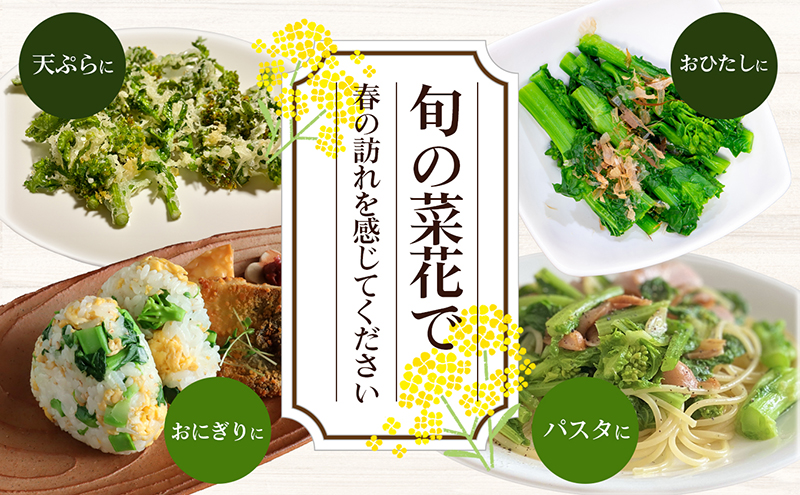 冬から春が旬の「菜花(菜の花)」600g 地域のお礼の品 カタログ
