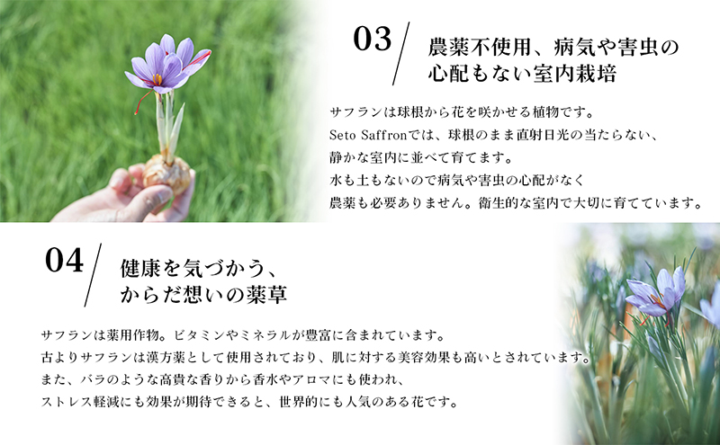 【Seto SAFFRON】SSエッセンス<美容液>（30ml）