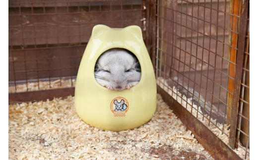 白鳥動物園（ペア）チケット