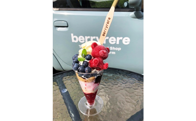 海のキレイな街で育ったブルーベリーとワインのセット