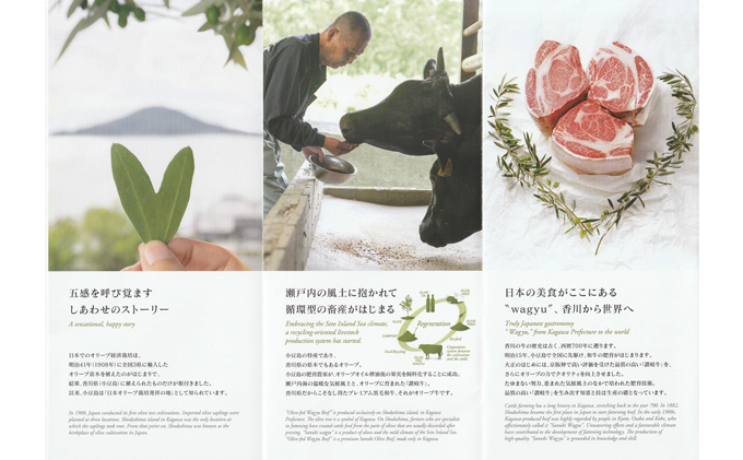 香川県産　オリーブ牛、豚　500ｇ　定期便（7月～12月） 牛肉 お肉 豚肉 毎月届く 半年 6回お届け すき焼き ロース しゃぶしゃぶ 焼肉 スライス 切り落とし