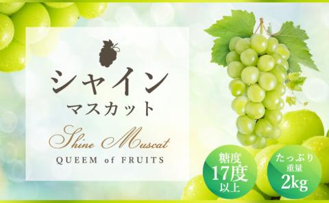 ハウスシャインマスカット 2～5房 2kg 化粧箱 極上 シャインマスカット マスカット 葡萄 ぶどう ブドウ フルーツ 果物 果実 旬の果物 旬のフルーツ ギフト プレゼント 香川 香川県 東かがわ市