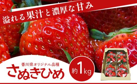 いちご 香川県オリジナル品種 さぬきひめ 1kg 香川県産 苺 イチゴ フルーツ 果物 くだもの 旬のフルーツ 旬の果物 大粒 採れたて 冷蔵 香川 香川県 東かがわ市