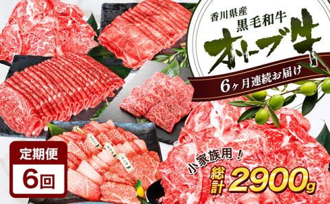 香川県産黒毛和牛オリーブ牛【6ヶ月お届け】小家族用 焼肉 バーベキュー 牛肉 お肉