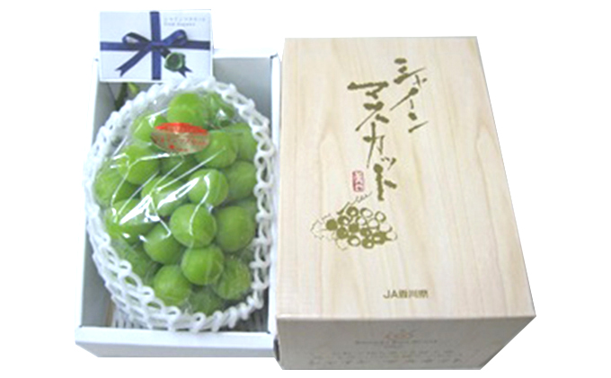 極上シャインマスカット　大房1房化粧箱入り 果物 ぶどう フルーツ