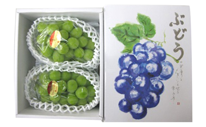 極上シャインマスカット　2房化粧箱入り 果物 ぶどう フルーツ