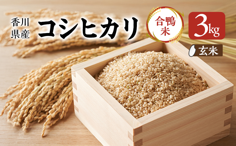 香川県産コシヒカリ（自然農法 合鴨米 3kg）玄米