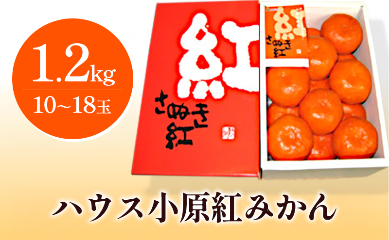 ハウス小原紅早生みかん（さぬき紅）約1.2kg