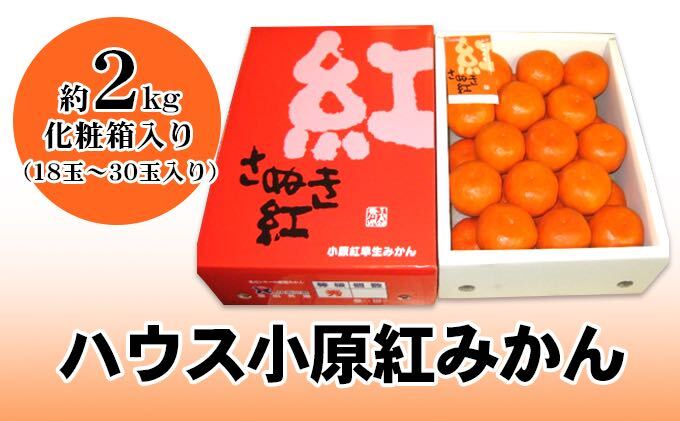 ハウス小原紅早生みかん（さぬき紅）　約2kg