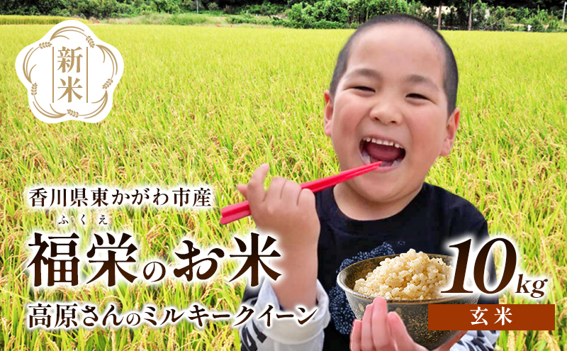 【令和7年】高原さんのミルキークイーン 10kg 玄米