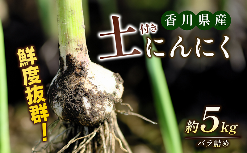 鮮度抜群！土付きにんにく 5kg