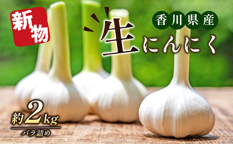 生にんにく（新物）2kg 野菜 根菜